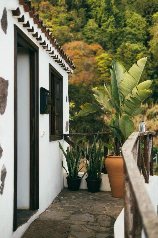 Las Casitas Del Bebedero - Yoga & Ecoturismo Icod De Los Vinos Eksteriør billede
