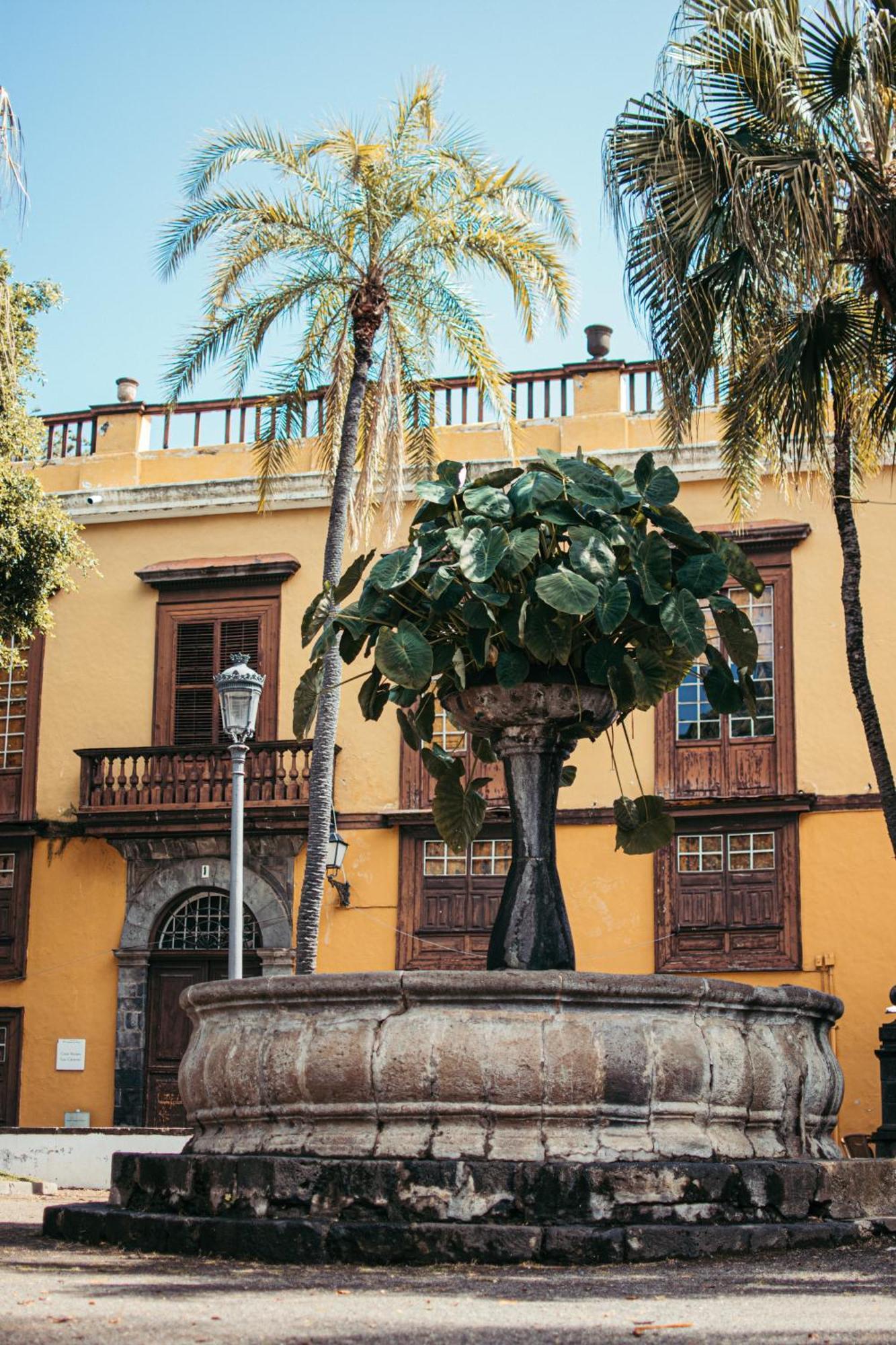 Las Casitas Del Bebedero - Yoga & Ecoturismo Icod De Los Vinos Eksteriør billede