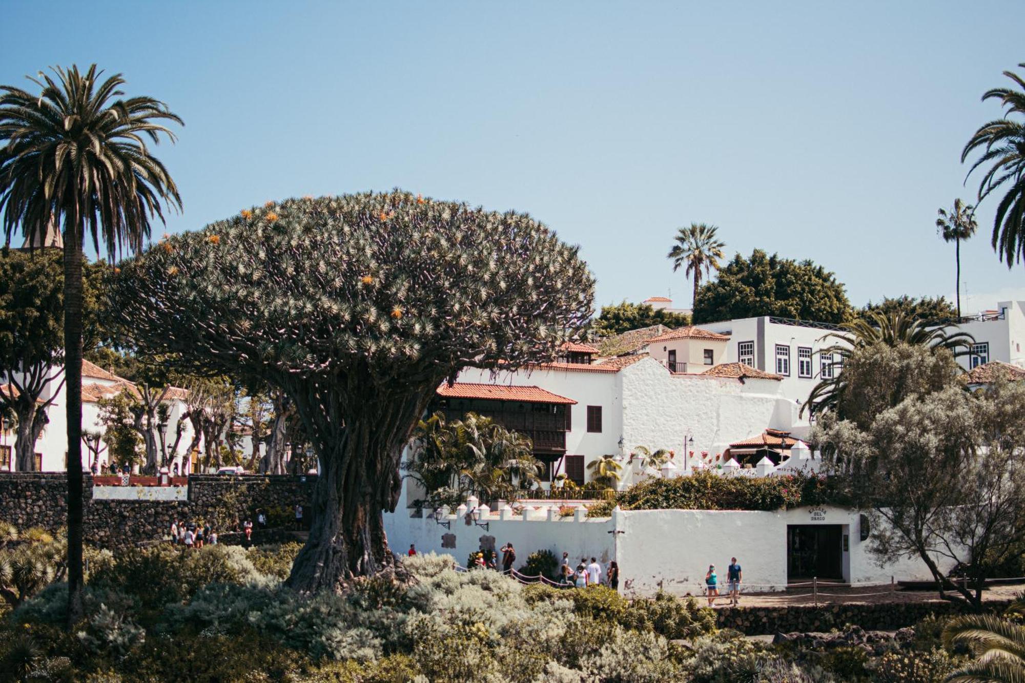 Las Casitas Del Bebedero - Yoga & Ecoturismo Icod De Los Vinos Eksteriør billede